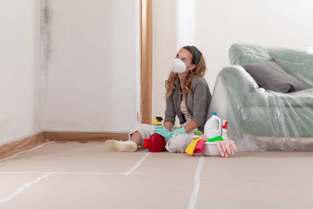 Reliable Black Mold Remediation contractor in Mount Sinai, NY by 24 Hour Mold Removal